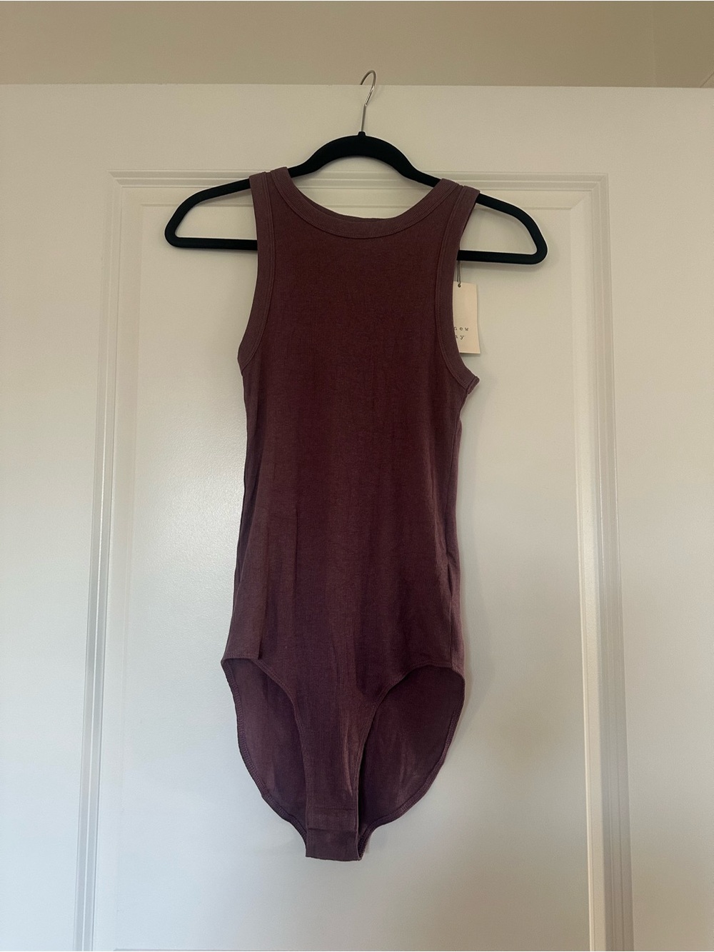 Sleeveless Ribbed Bodysuit in Deep Mauve